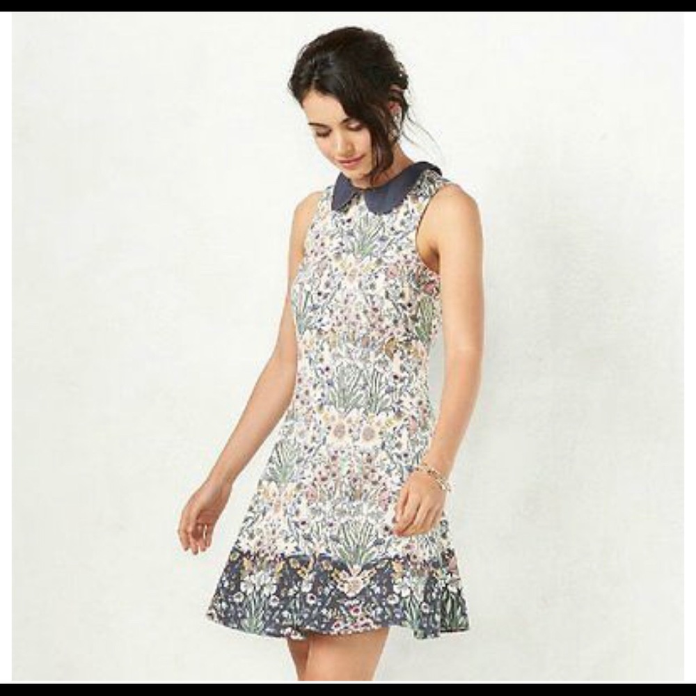 Lauren Conrad Peter Pan collar shift dress